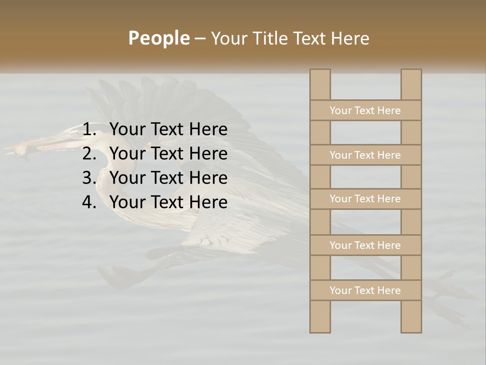 A Large Bird Flying Over A Body Of Water PowerPoint Template