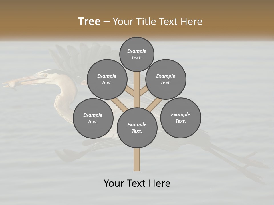 A Large Bird Flying Over A Body Of Water PowerPoint Template