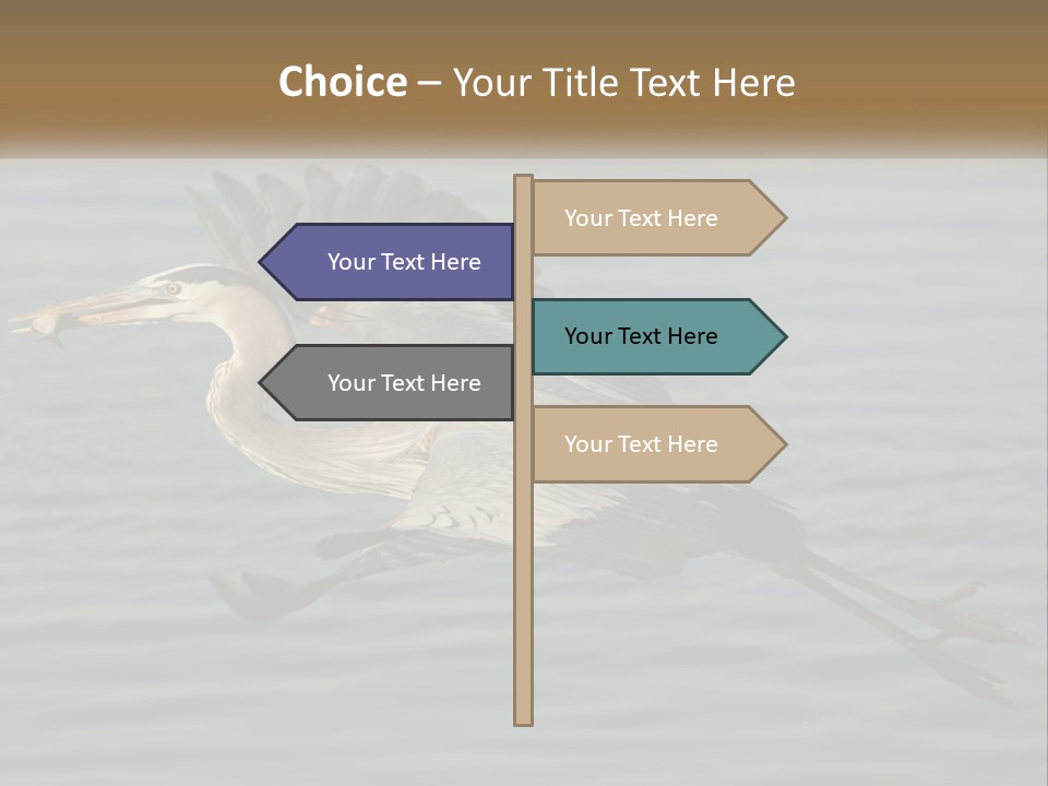 A Large Bird Flying Over A Body Of Water PowerPoint Template