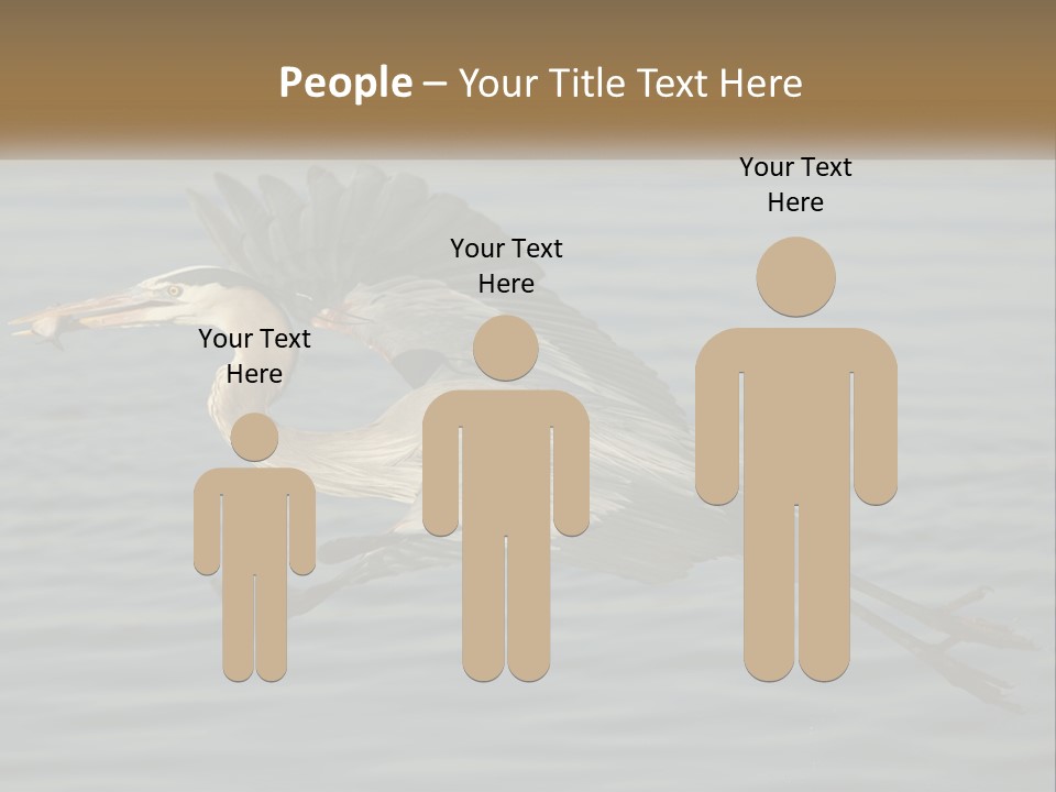 A Large Bird Flying Over A Body Of Water PowerPoint Template