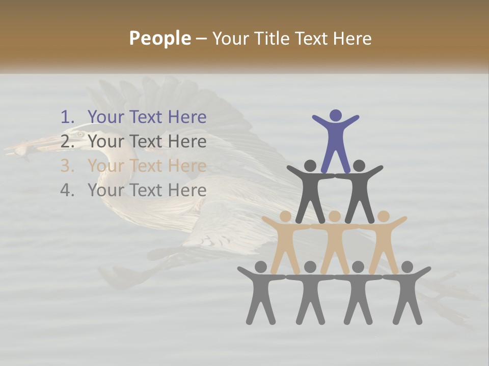 A Large Bird Flying Over A Body Of Water PowerPoint Template