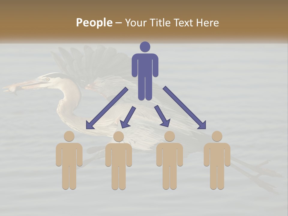 A Large Bird Flying Over A Body Of Water PowerPoint Template