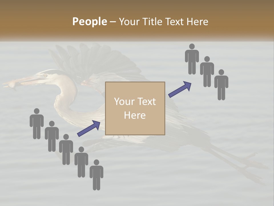 A Large Bird Flying Over A Body Of Water PowerPoint Template