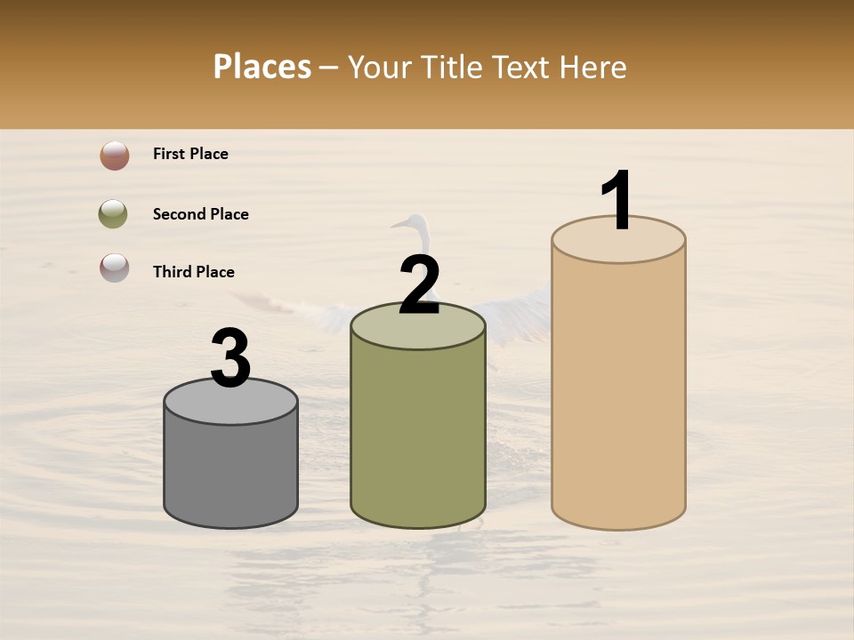 A White Bird Is Standing In The Water PowerPoint Template