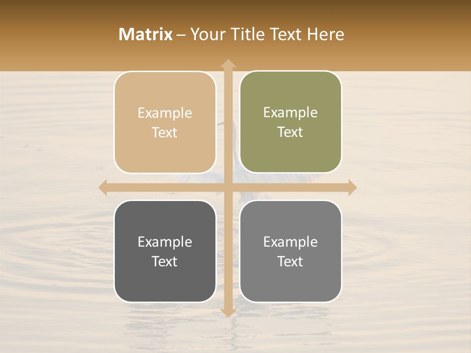 A White Bird Is Standing In The Water PowerPoint Template