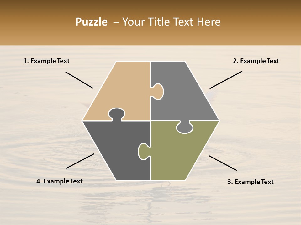 A White Bird Is Standing In The Water PowerPoint Template