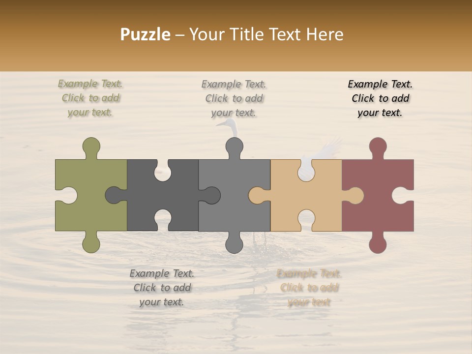 A White Bird Is Standing In The Water PowerPoint Template