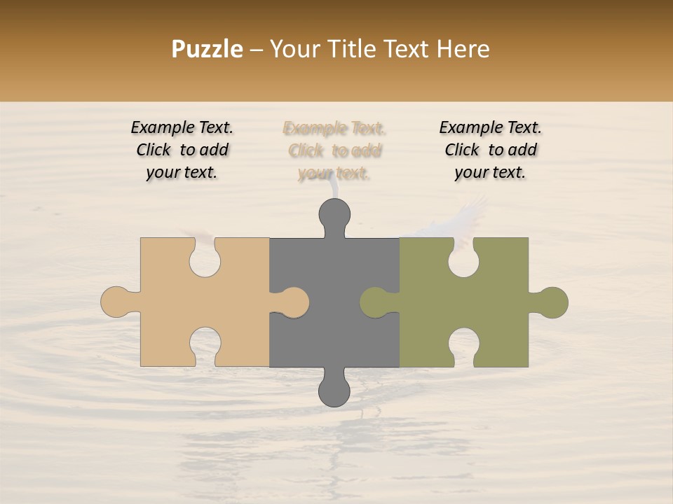 A White Bird Is Standing In The Water PowerPoint Template