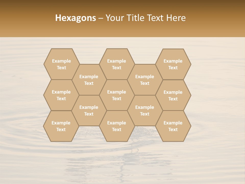 A White Bird Is Standing In The Water PowerPoint Template