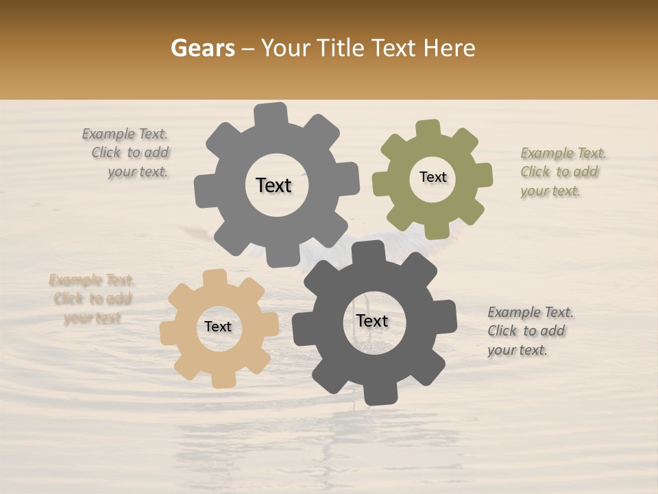 A White Bird Is Standing In The Water PowerPoint Template