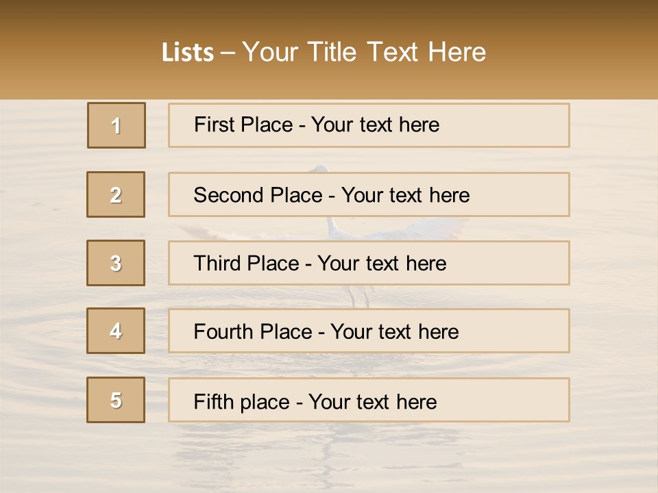 A White Bird Is Standing In The Water PowerPoint Template