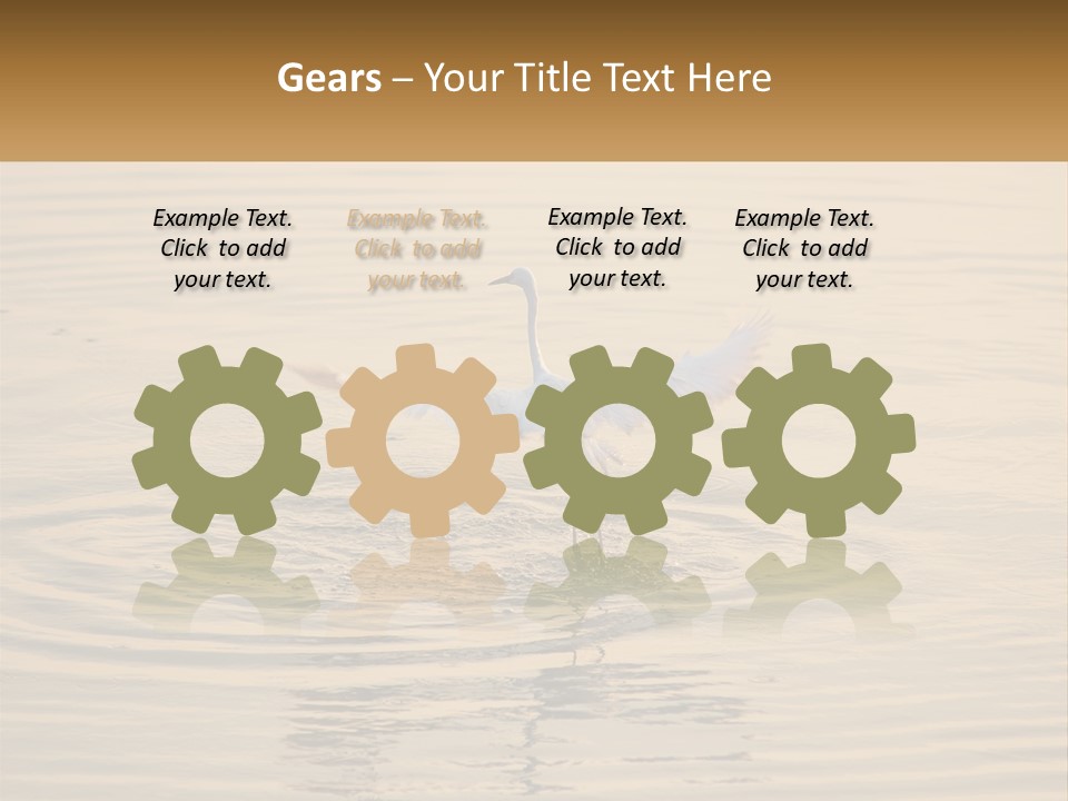 A White Bird Is Standing In The Water PowerPoint Template