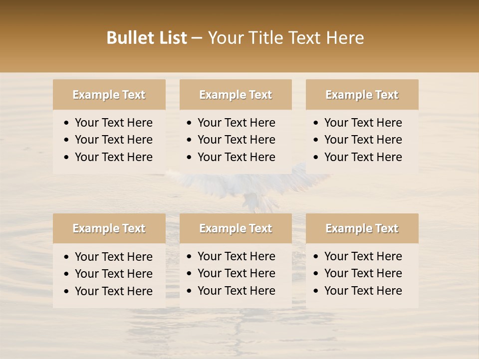 A White Bird Is Standing In The Water PowerPoint Template