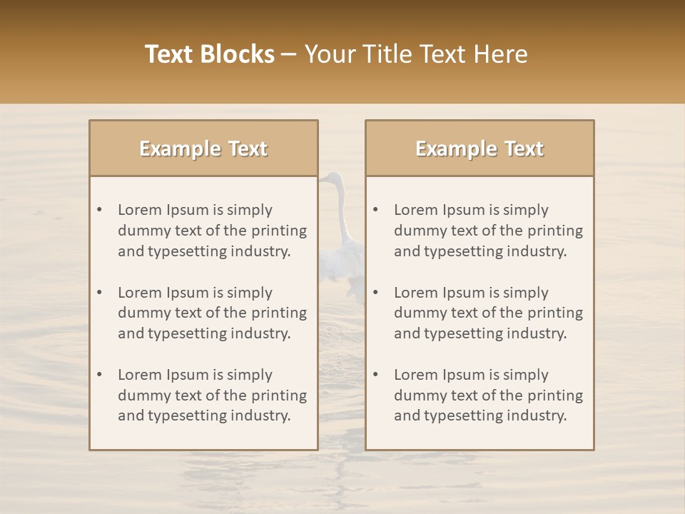 A White Bird Is Standing In The Water PowerPoint Template