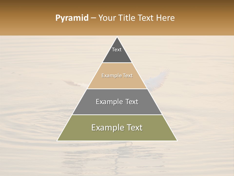 A White Bird Is Standing In The Water PowerPoint Template