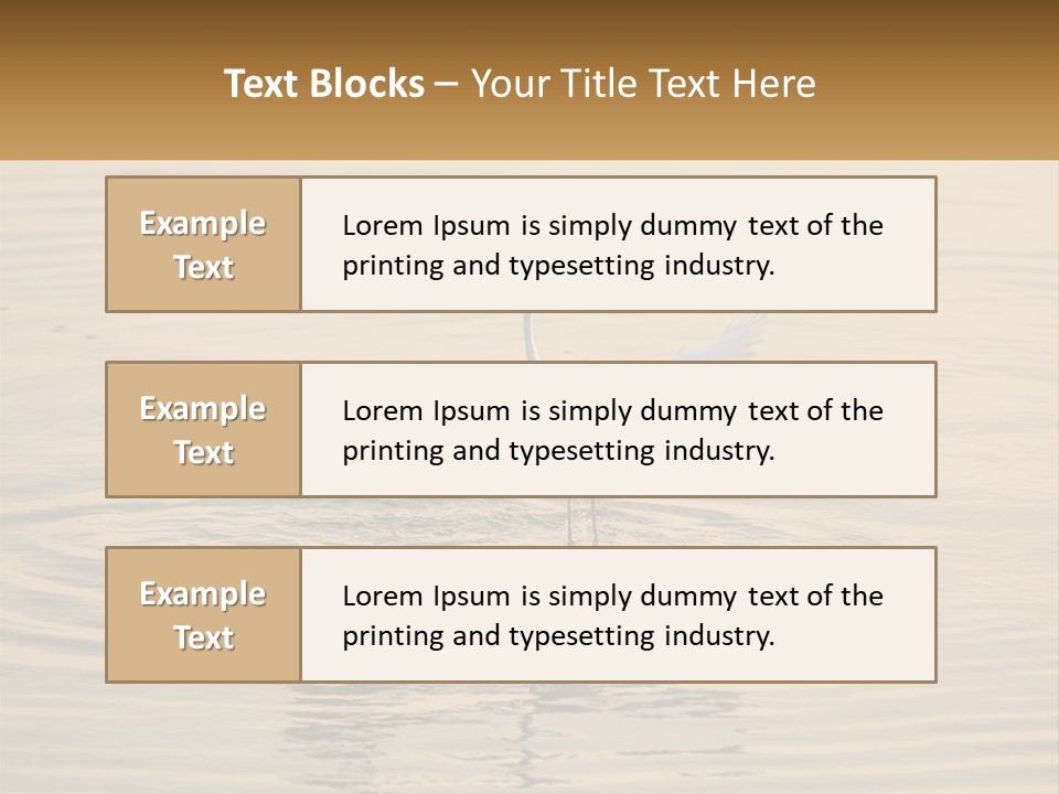 A White Bird Is Standing In The Water PowerPoint Template