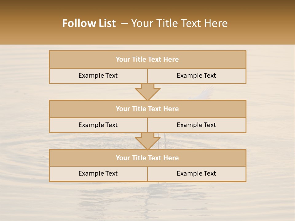 A White Bird Is Standing In The Water PowerPoint Template