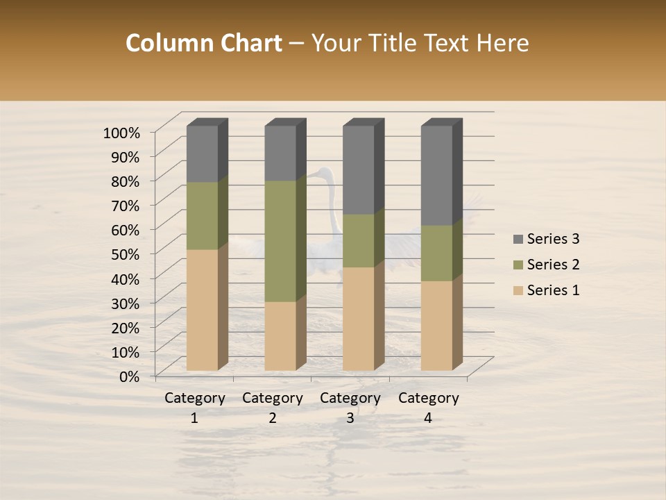 A White Bird Is Standing In The Water PowerPoint Template