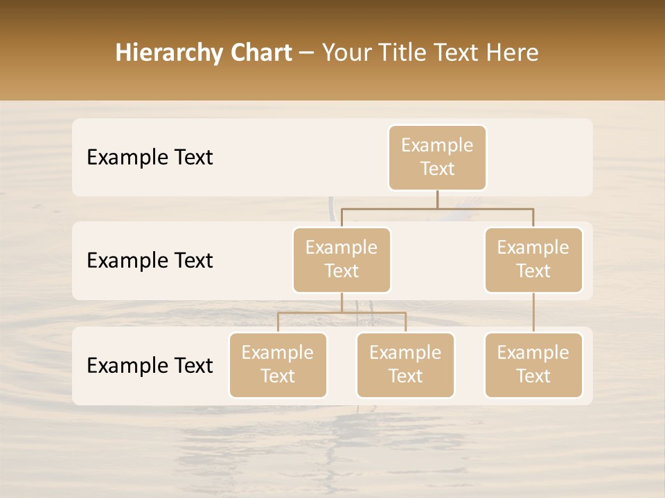 A White Bird Is Standing In The Water PowerPoint Template