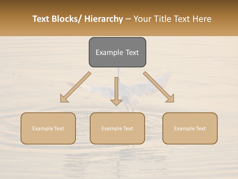 A White Bird Is Standing In The Water PowerPoint Template