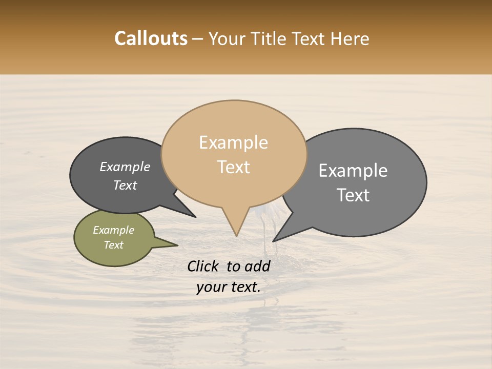 A White Bird Is Standing In The Water PowerPoint Template