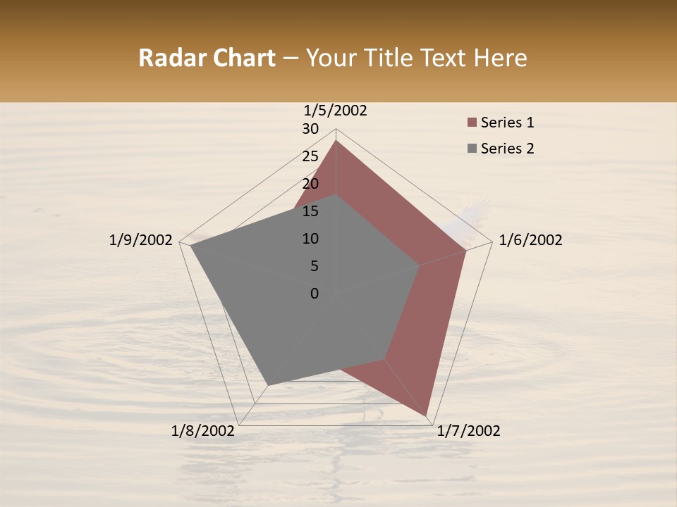 A White Bird Is Standing In The Water PowerPoint Template