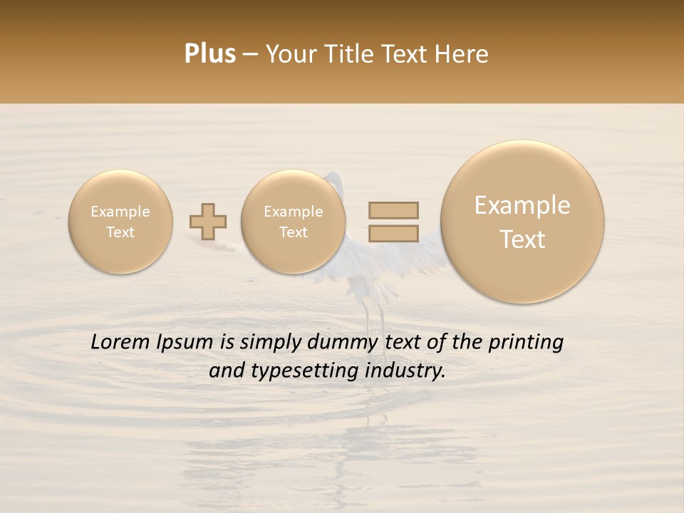 A White Bird Is Standing In The Water PowerPoint Template