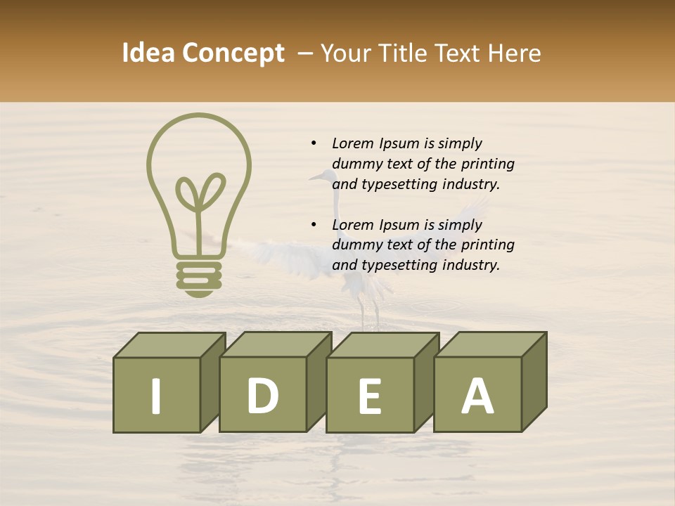 A White Bird Is Standing In The Water PowerPoint Template