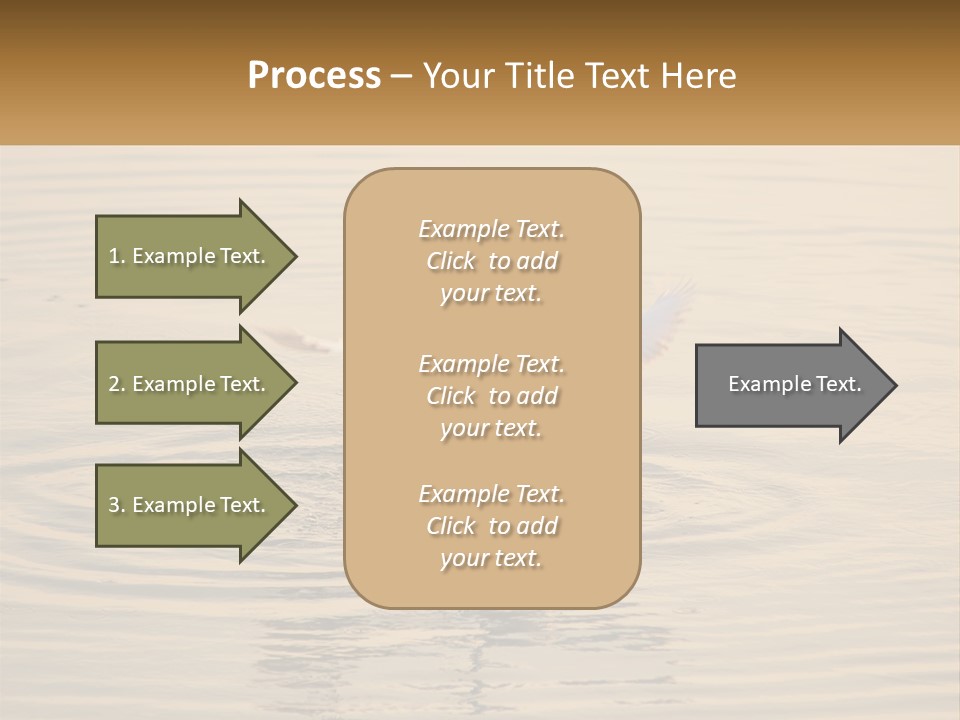 A White Bird Is Standing In The Water PowerPoint Template