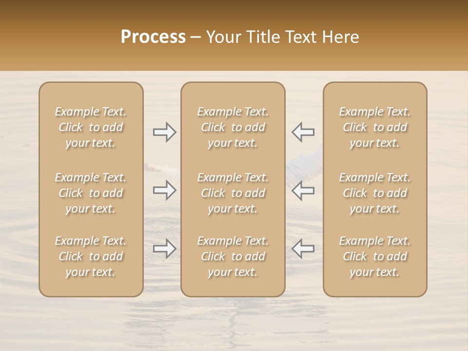 A White Bird Is Standing In The Water PowerPoint Template