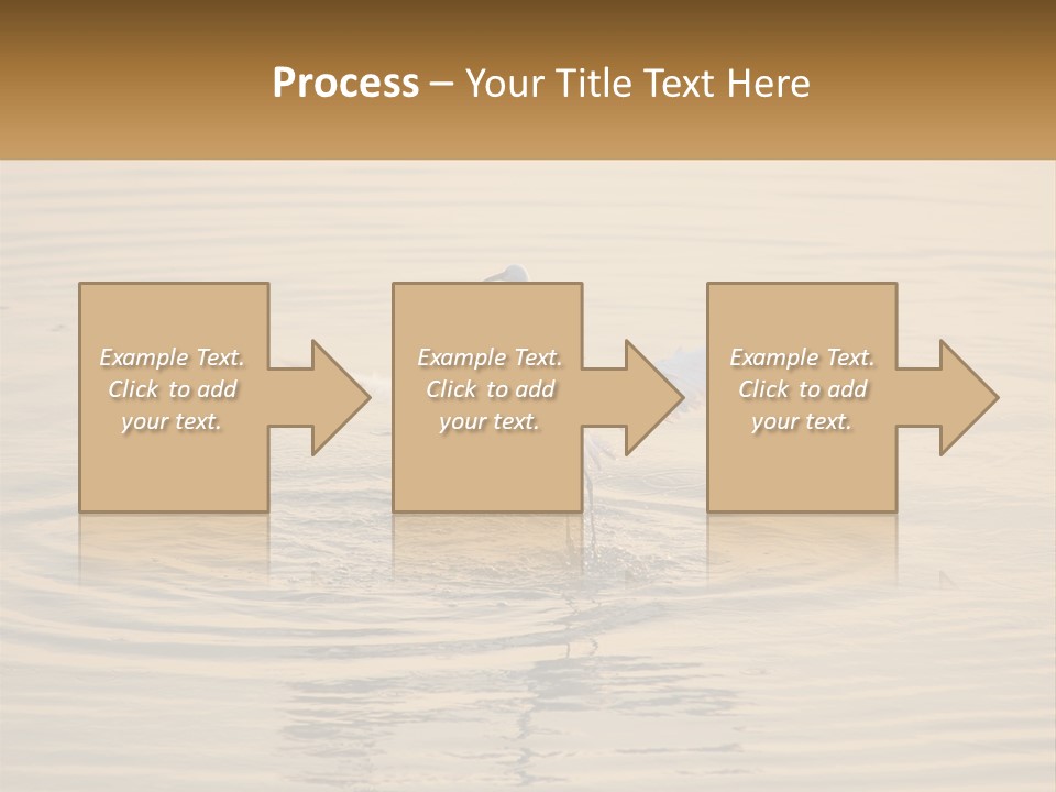 A White Bird Is Standing In The Water PowerPoint Template