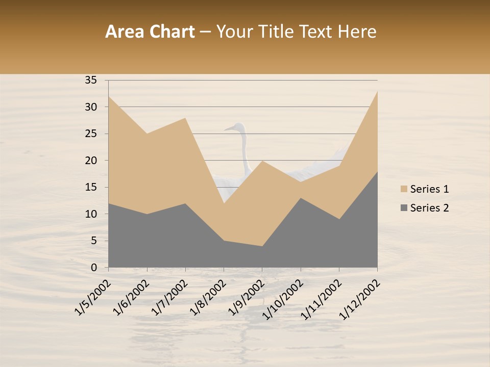 A White Bird Is Standing In The Water PowerPoint Template