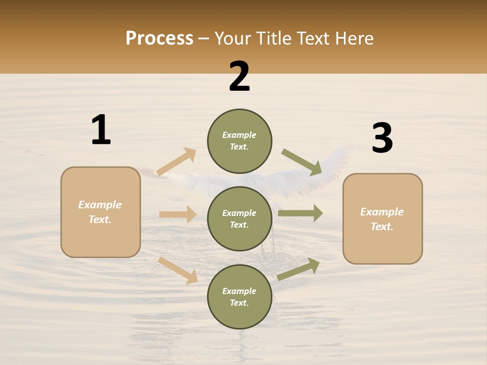 A White Bird Is Standing In The Water PowerPoint Template