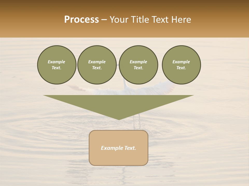 A White Bird Is Standing In The Water PowerPoint Template