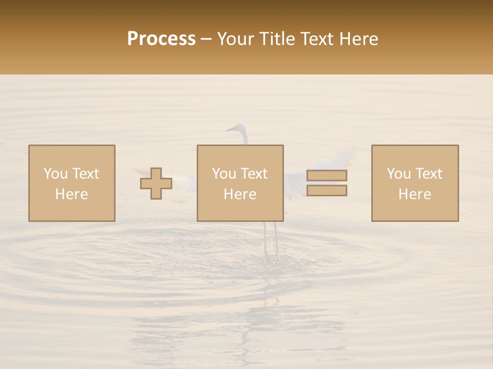 A White Bird Is Standing In The Water PowerPoint Template