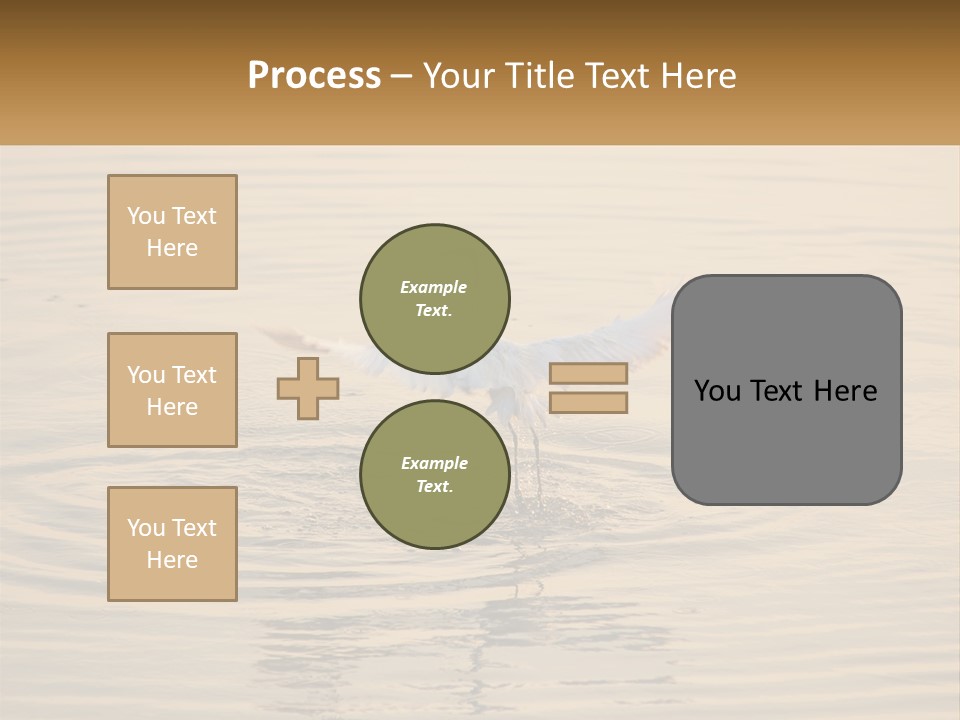A White Bird Is Standing In The Water PowerPoint Template