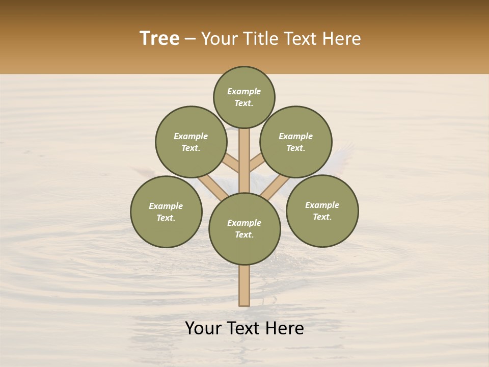 A White Bird Is Standing In The Water PowerPoint Template