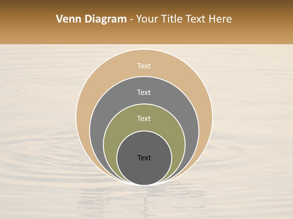A White Bird Is Standing In The Water PowerPoint Template