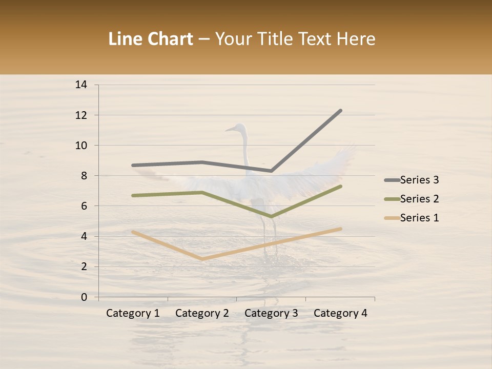 A White Bird Is Standing In The Water PowerPoint Template