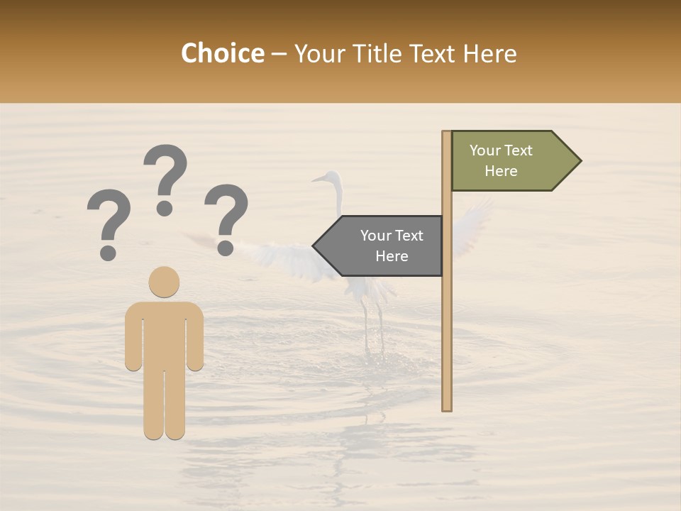A White Bird Is Standing In The Water PowerPoint Template