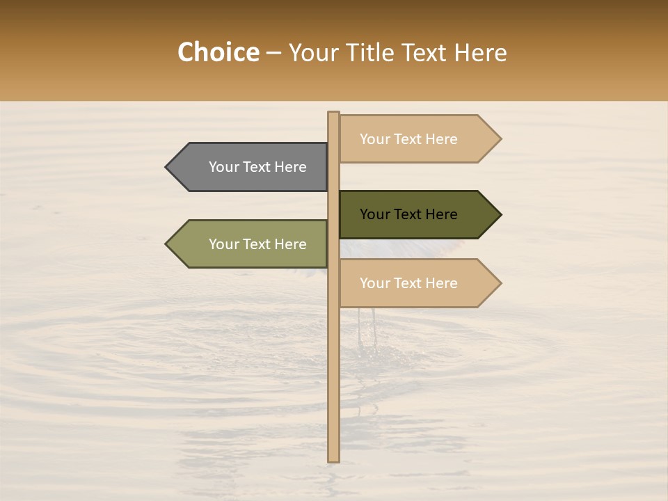A White Bird Is Standing In The Water PowerPoint Template