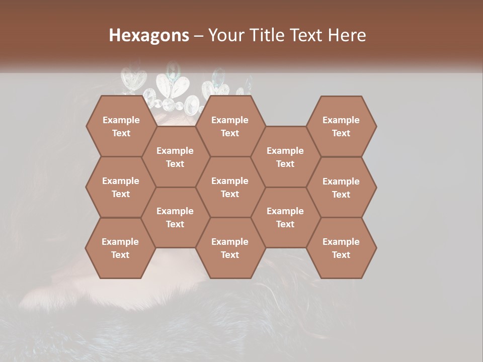 A Beautiful Woman Wearing A Tiara Powerpoint Template PowerPoint Template