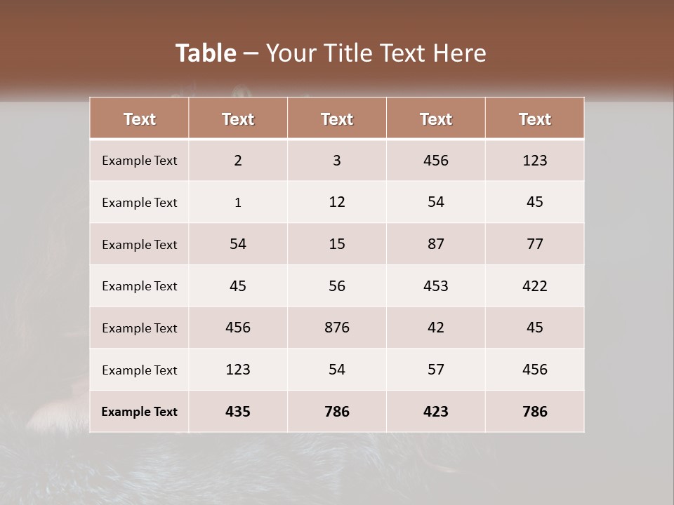 A Beautiful Woman Wearing A Tiara Powerpoint Template PowerPoint Template