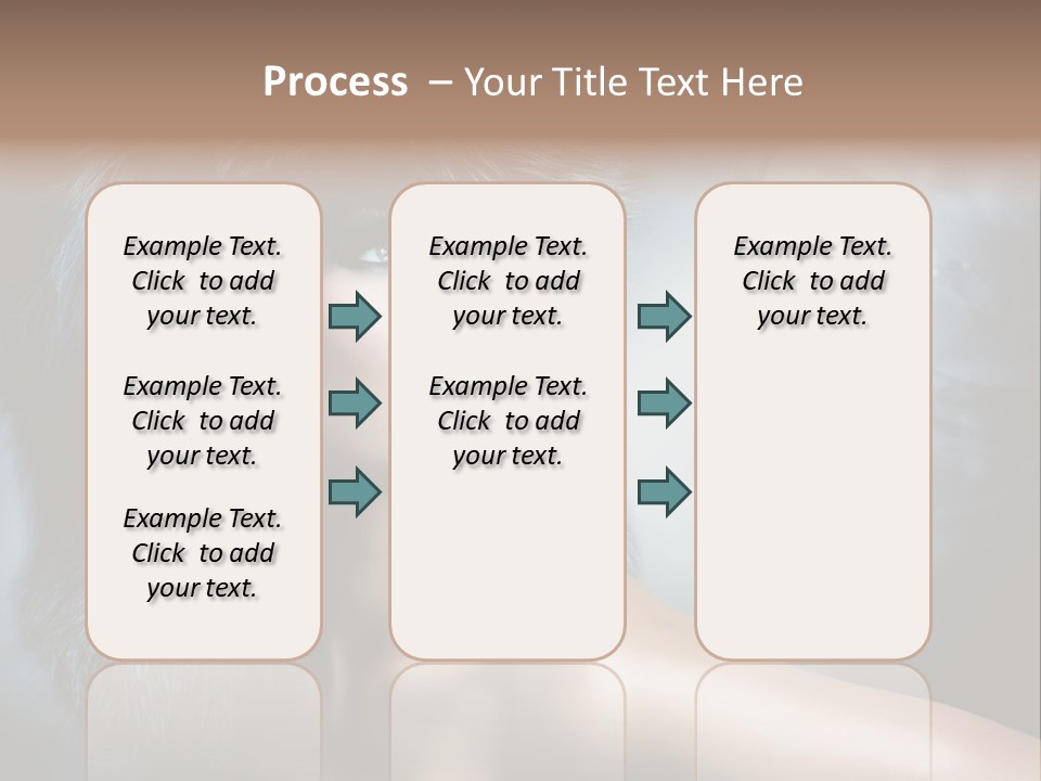 A Woman Wearing A Fur Hat Powerpoint Template PowerPoint Template