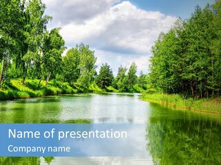 A River Surrounded By Trees With A Sky Background PowerPoint Template
