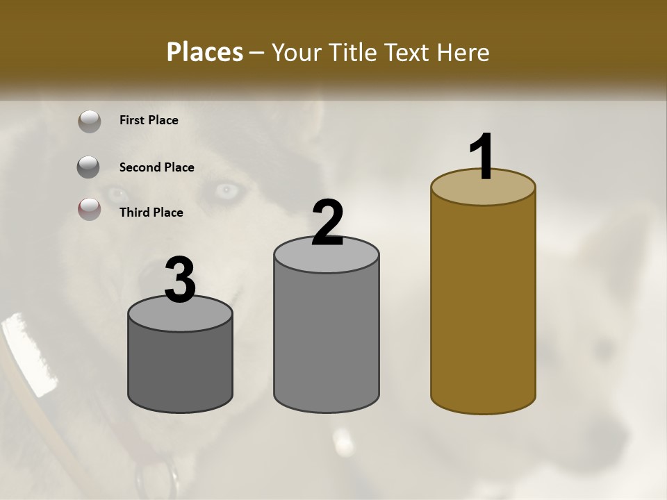 Two Husky Dogs In The Snow Powerpoint Template PowerPoint Template