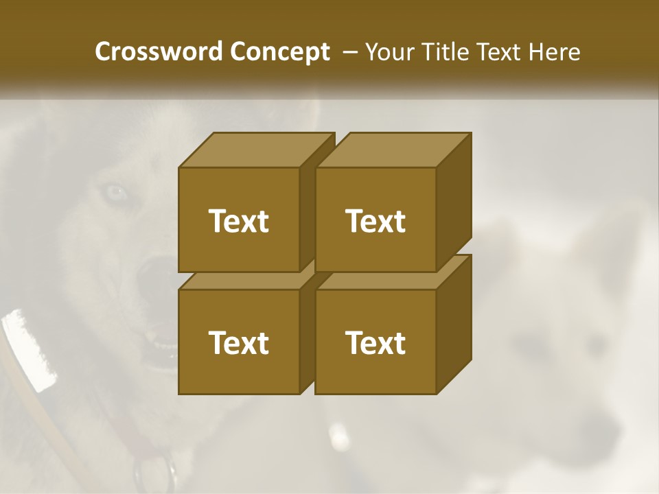 Two Husky Dogs In The Snow Powerpoint Template PowerPoint Template