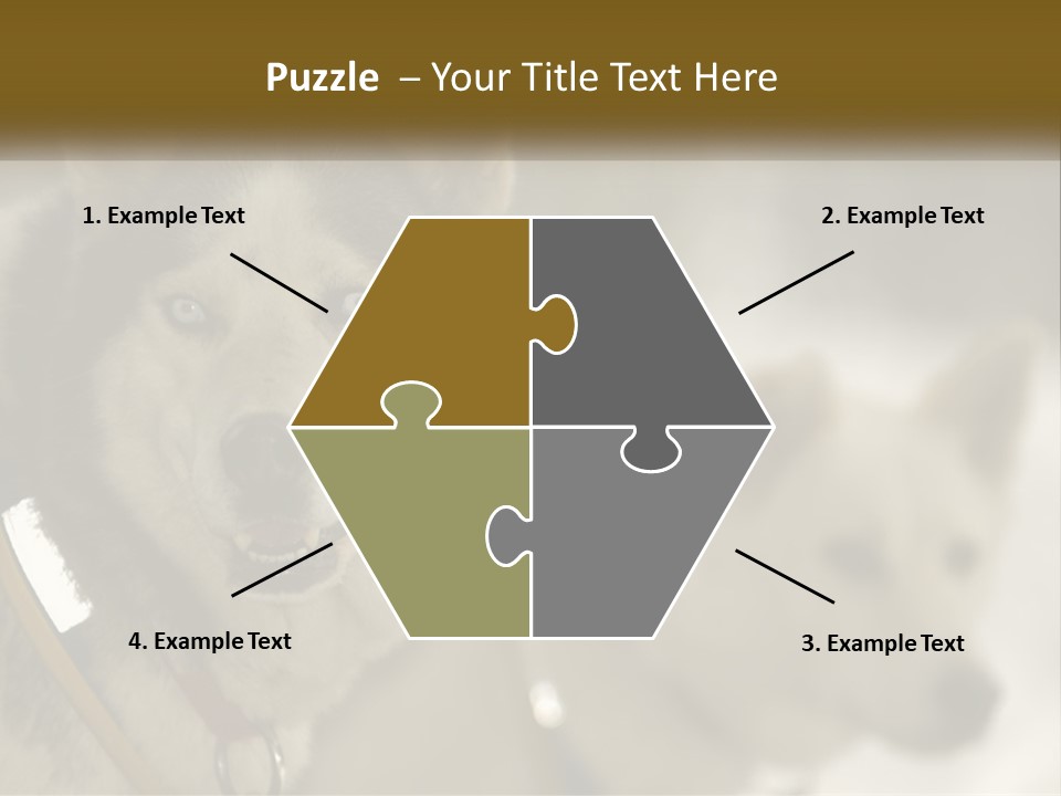 Two Husky Dogs In The Snow Powerpoint Template PowerPoint Template