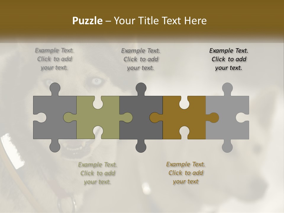 Two Husky Dogs In The Snow Powerpoint Template PowerPoint Template