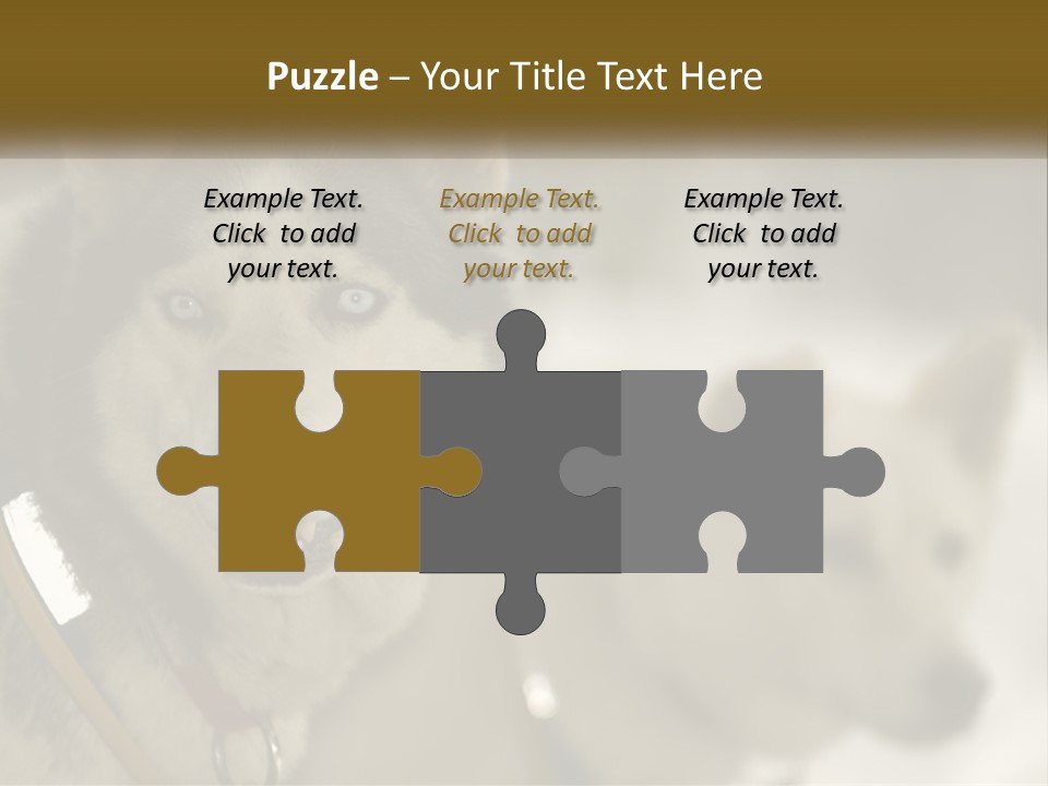 Two Husky Dogs In The Snow Powerpoint Template PowerPoint Template